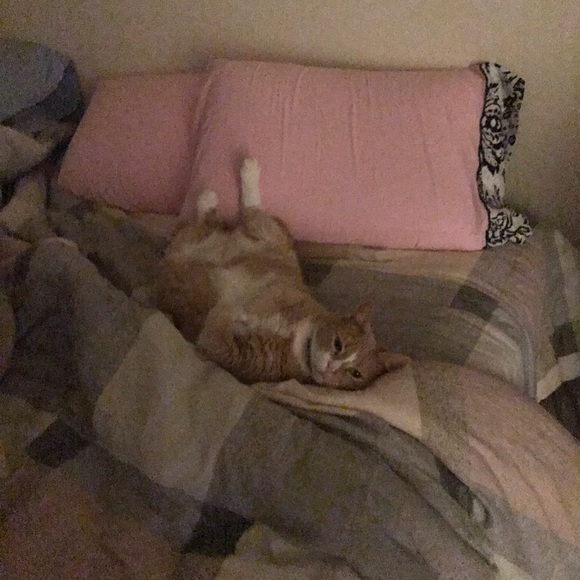 Meet your Posher, Kelly - Picture 2 of 2